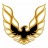 user 5